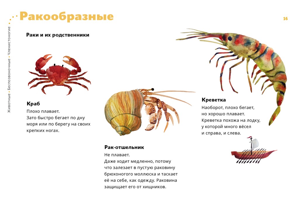Фронтальная и тыловая камера