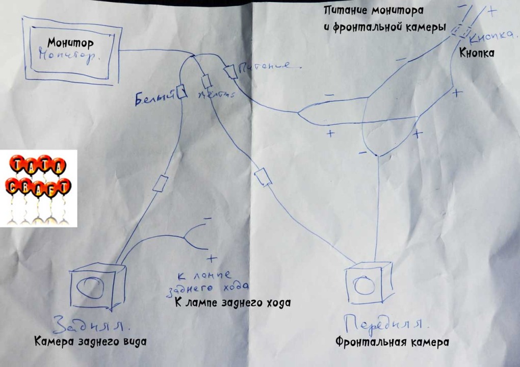 Мышцы бедра сзади анатомия