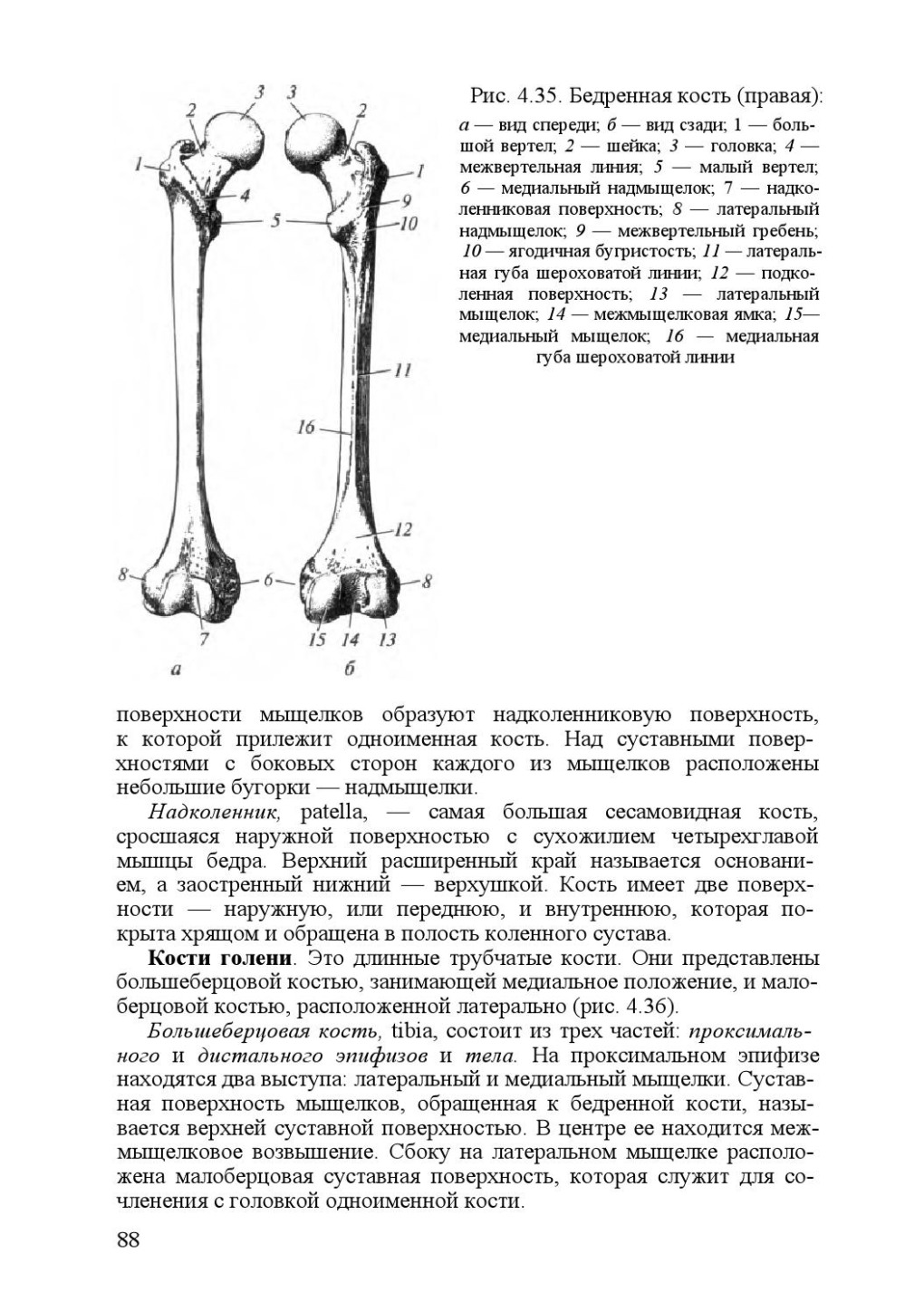 Урга 1991