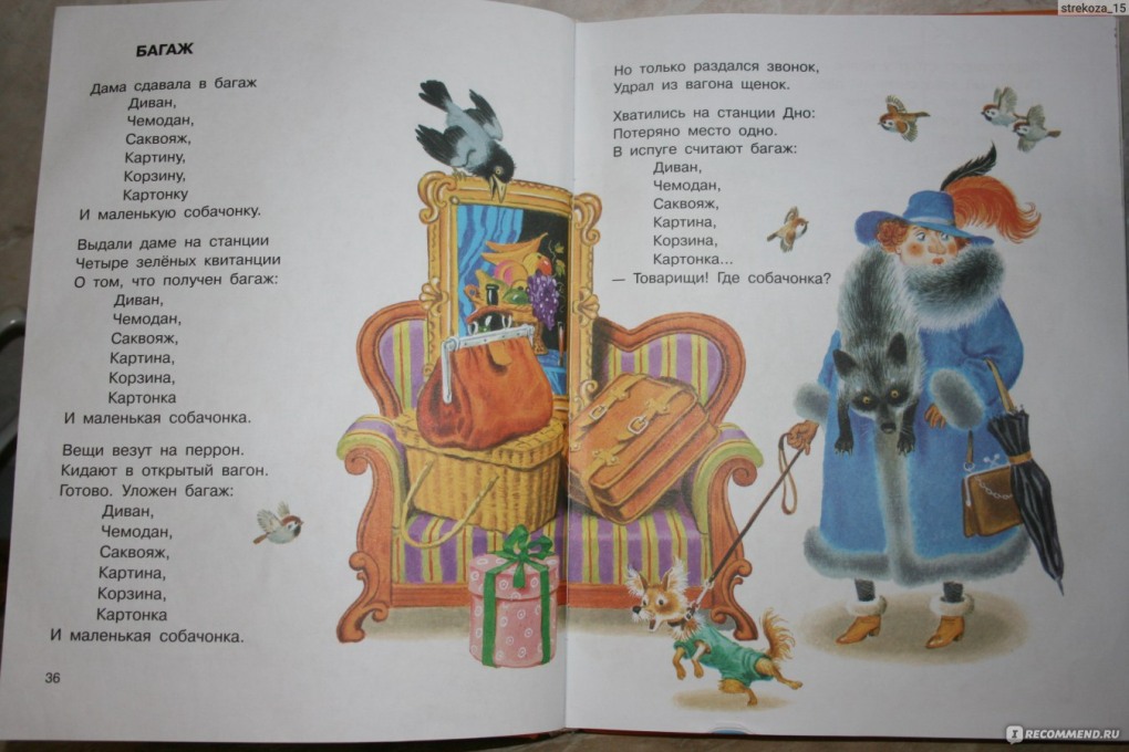 Конечности Astacus