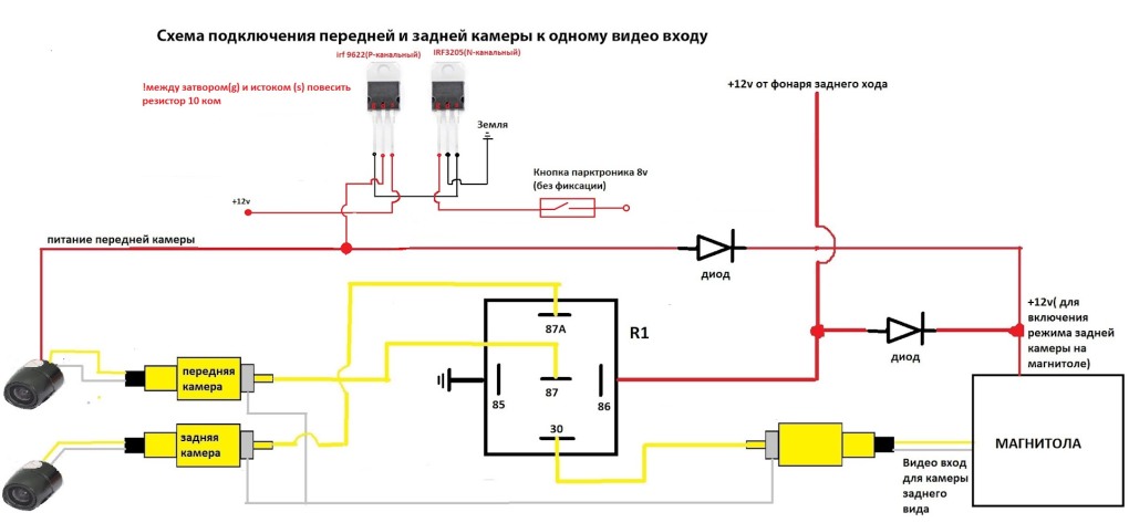 Анатомия человека лучевая кость плечевая кость