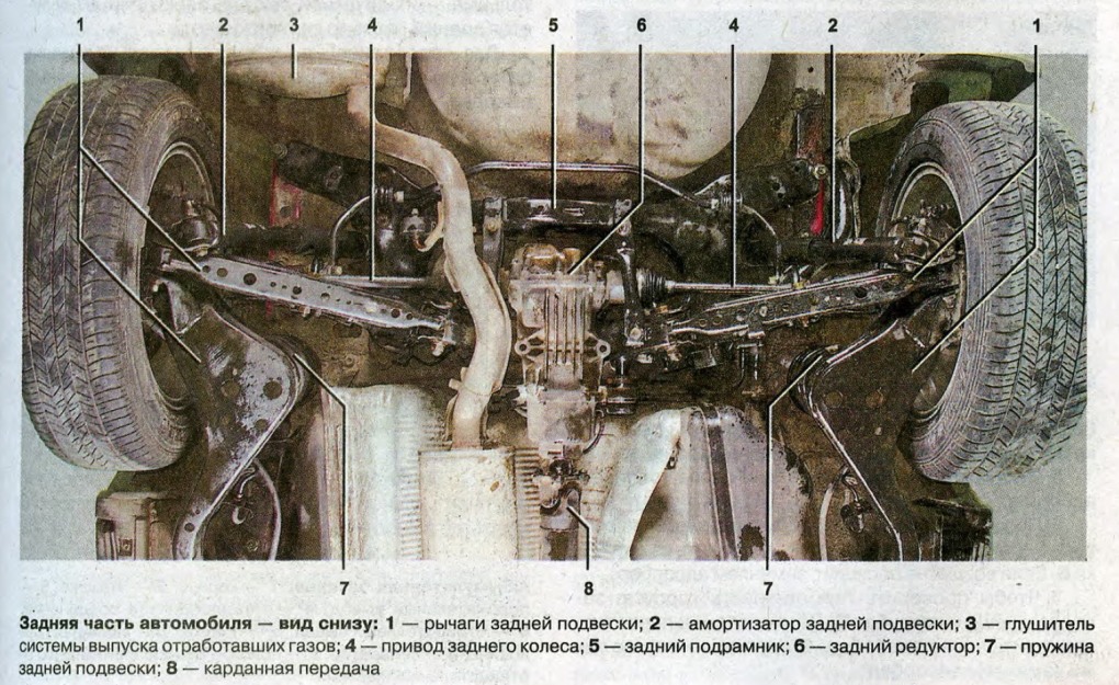 Красивые хентай попки в трусиках