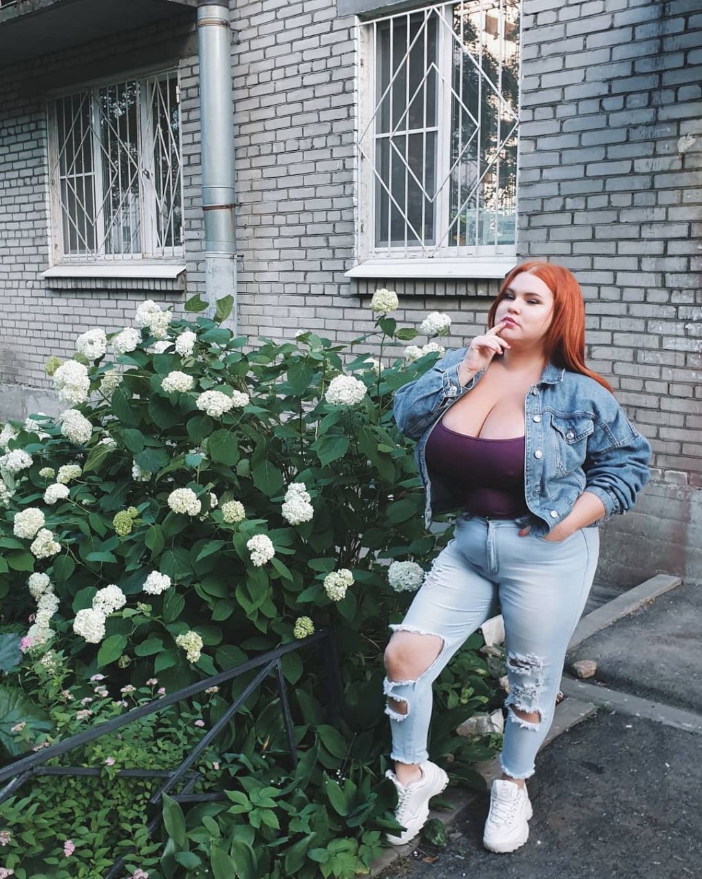 Vasilisa слив