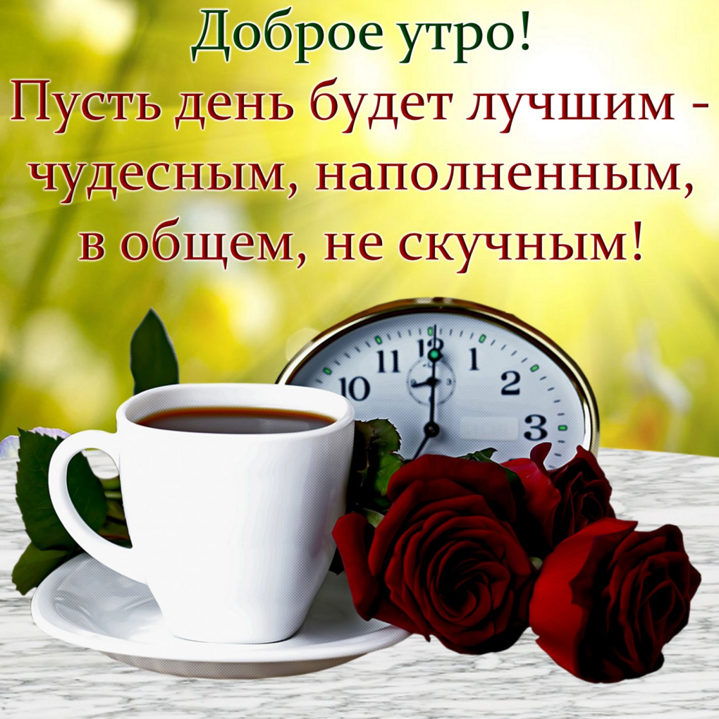 Батурина Светлана 43