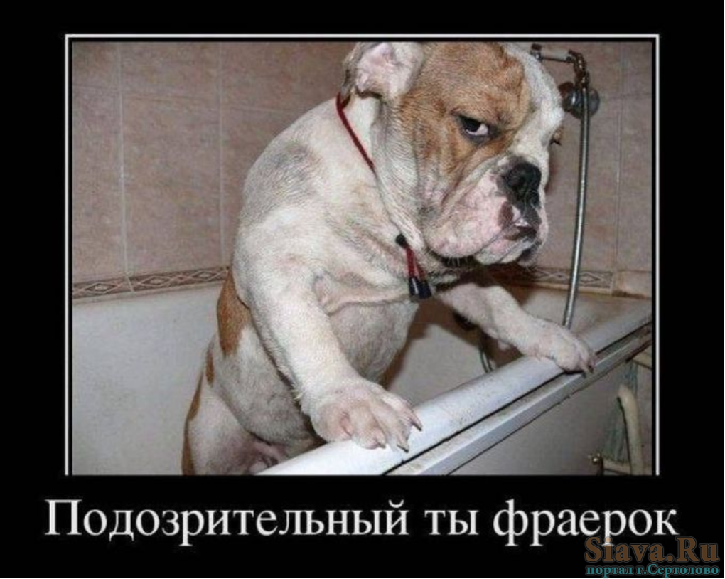 Страстные отношения