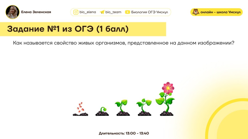 Порно. Голая. Елена. Шевченко