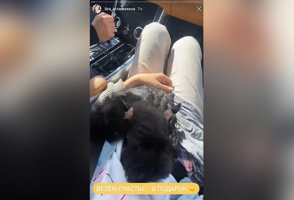 Елизавета Арзамасова в Нижнем белье