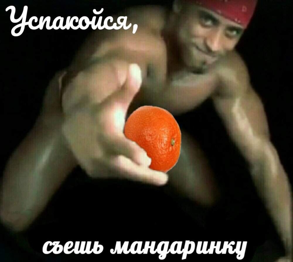 Шпак и Яна фотограф