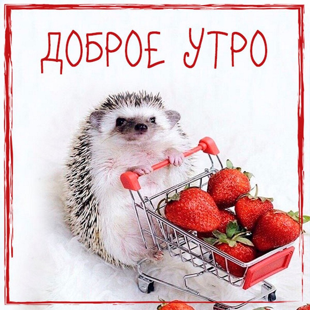 Лена летучая фото Максим