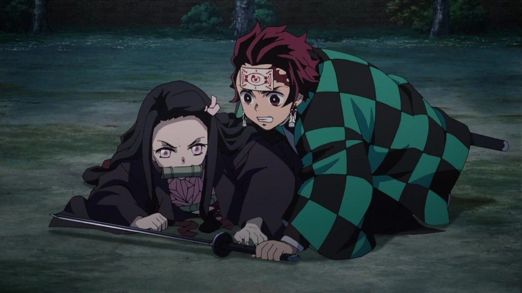 Zumidraws nezuko