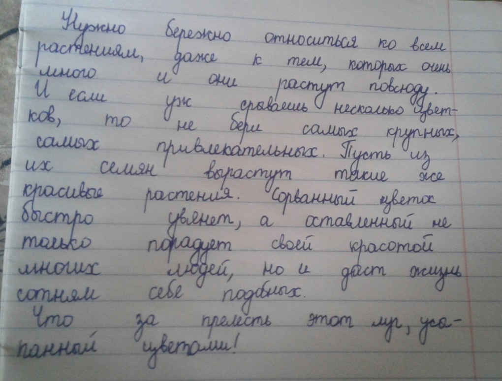 Живые вещи сочинение