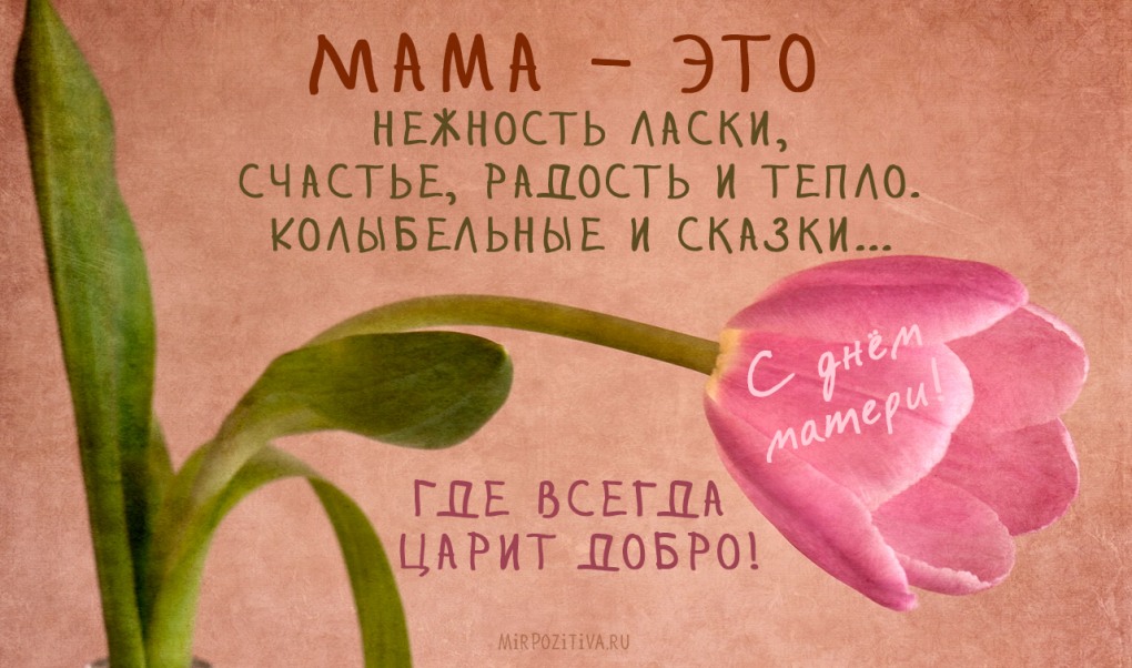 Королевский синий цвет Смик