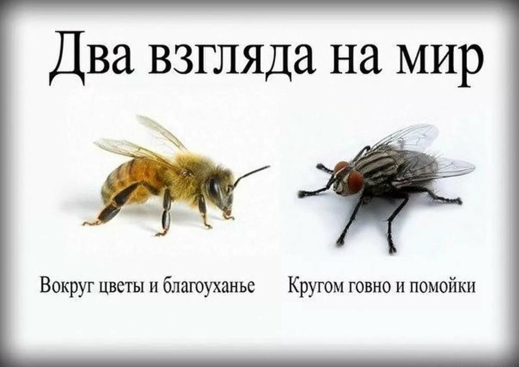 Таблица окулиста Орловой