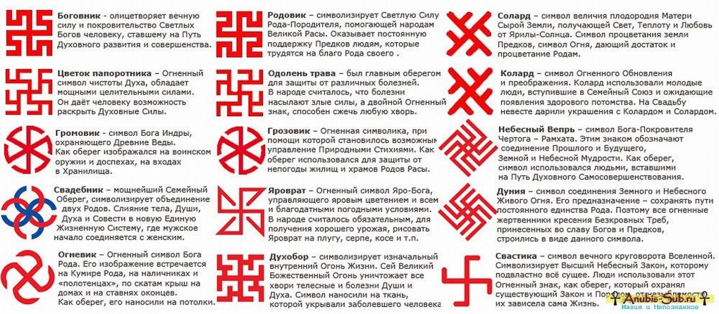 Антираковая тарелка главные защитники