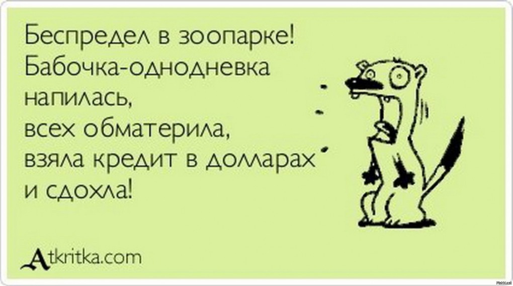 Мыши плакали кололись но продолжали жрать Кактус