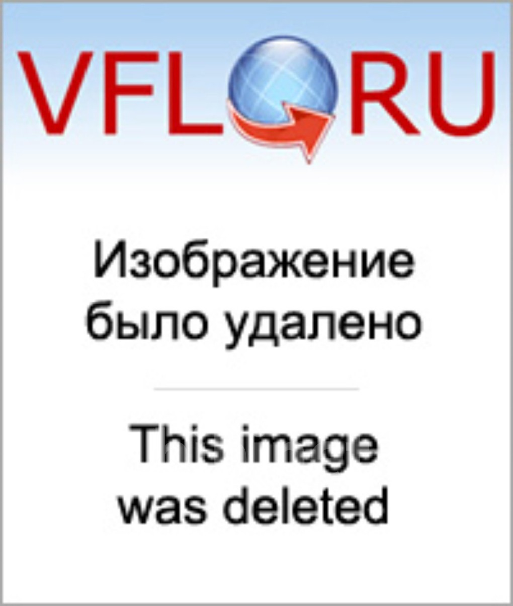 Голые домашние брюнетки