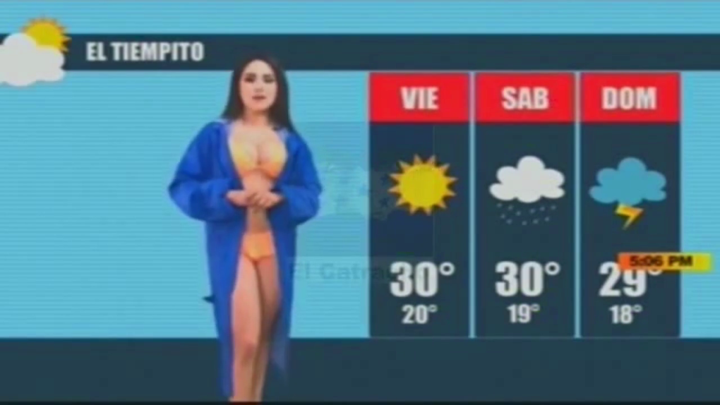 Винник Елена ведущая nude