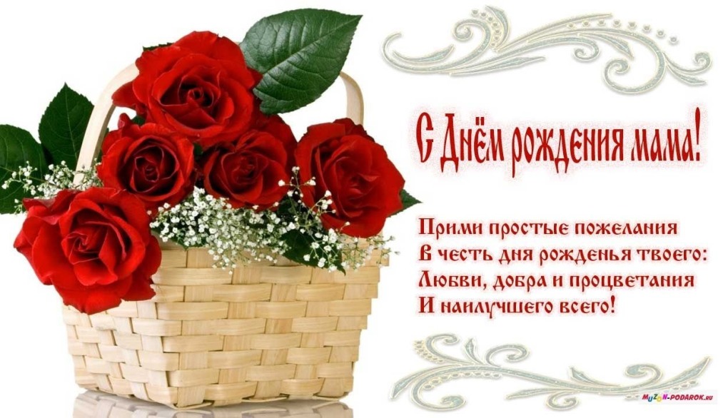 Альба Заляй модель