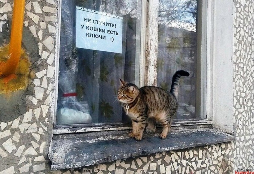 Не стучите у кошки есть ключи