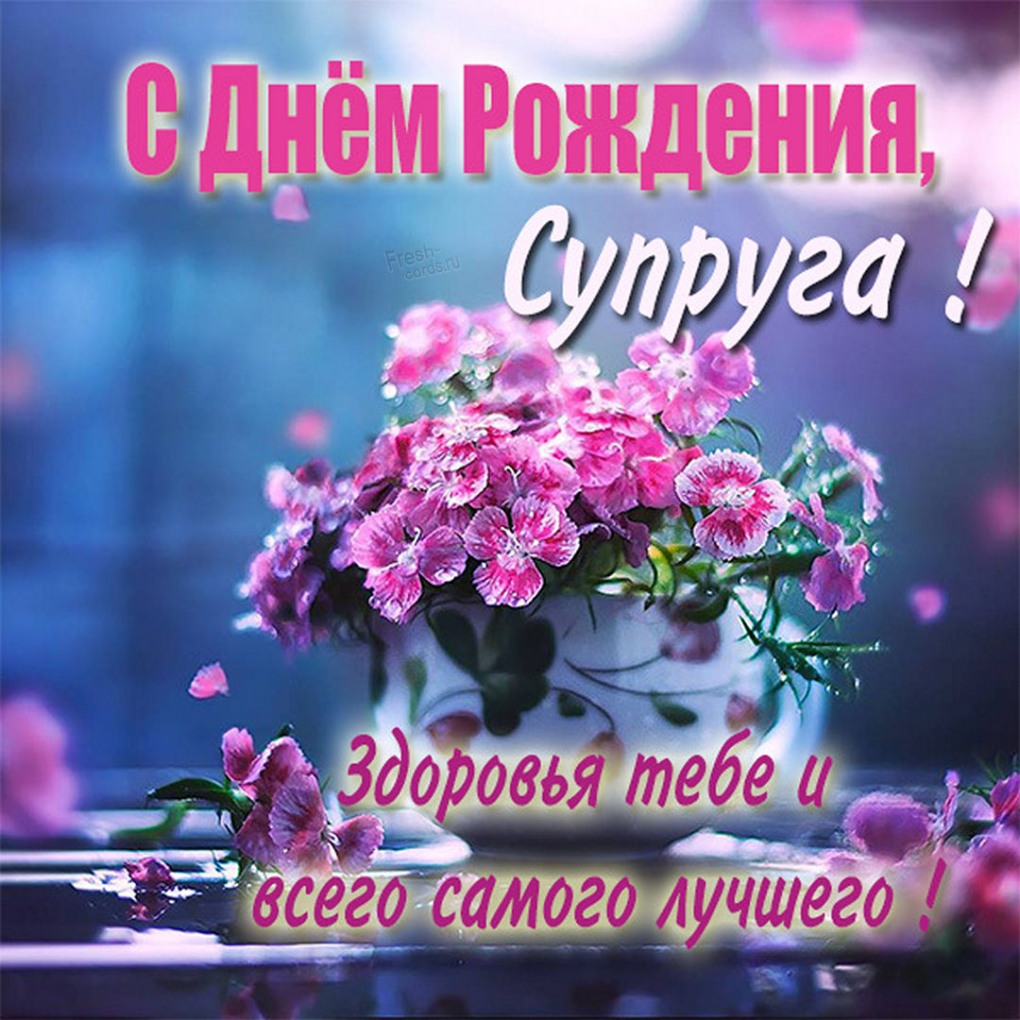 Свикров с днём рождения